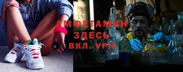 сатива Бронницы