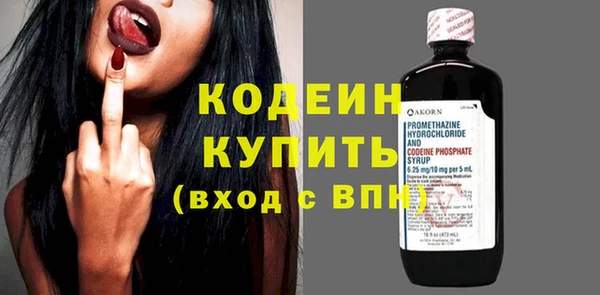 эйфоретик Бородино