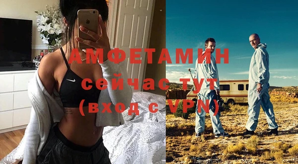 сатива Бронницы