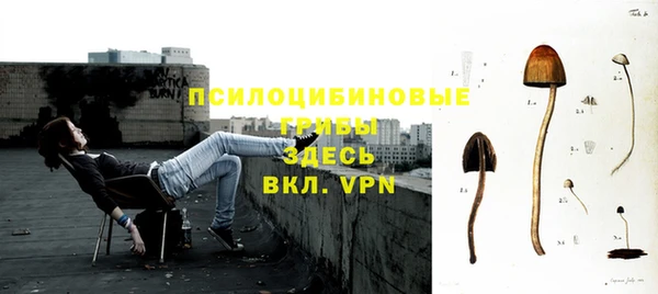 сатива Бронницы