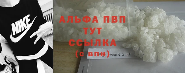 сатива Бронницы