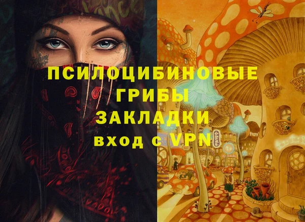 эйфоретик Бородино
