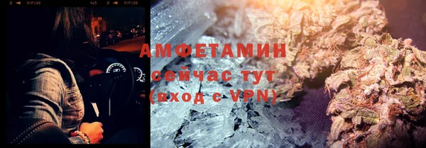 сатива Бронницы