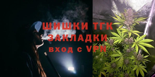 эйфоретик Бородино