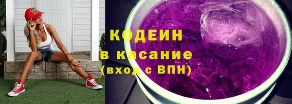 эйфоретик Бородино