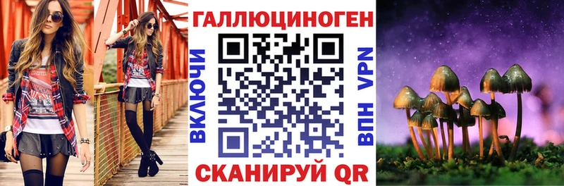 Псилоцибиновые грибы Psilocybine cubensis  как найти   Конаково 